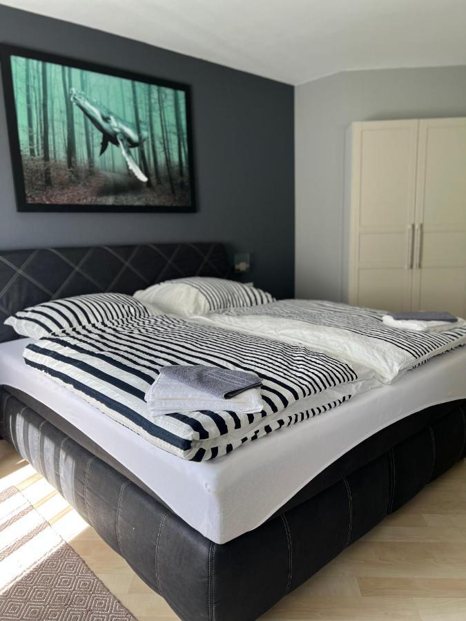 City Home2 ميتسنغن المظهر الخارجي الصورة